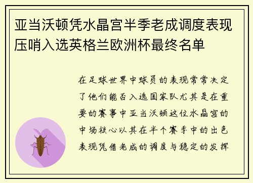 亚当沃顿凭水晶宫半季老成调度表现压哨入选英格兰欧洲杯最终名单